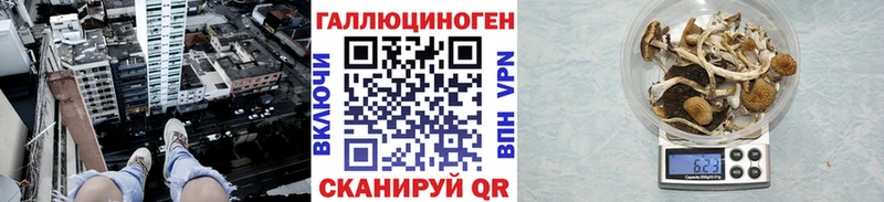 Галлюциногенные грибы мицелий  Серов 